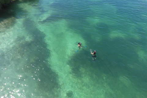 Key West: Eco Safari Tour z nurkowaniem z rurką