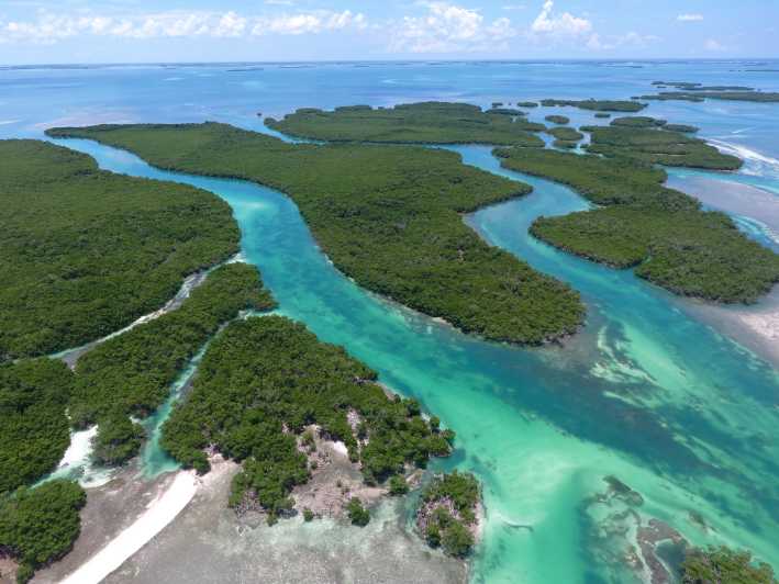 Key West: Eco Safari Sandbar Tour with Snorkeling