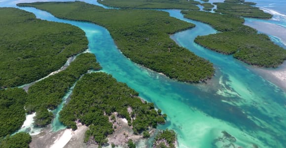 Key West: Eco Safari Sandbar Tour with Snorkeling
