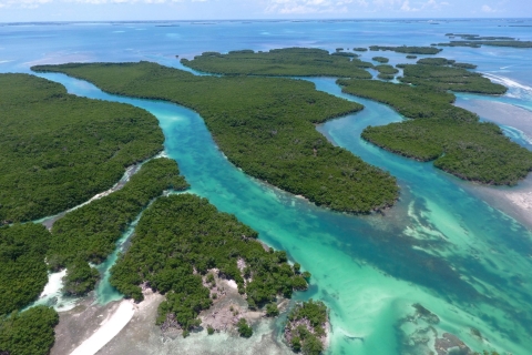 Key West: Eco Safari Tour avec plongée en apnée