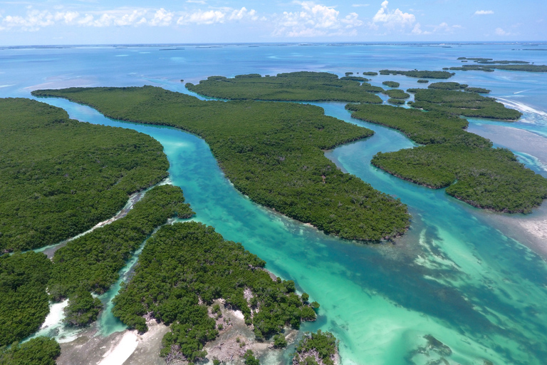 Key West: Tour Eco Safari Sandbar con snorkelingKey West: Eco Safari Tour con Snorkeling