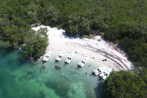 Key West: Eco Safari Tour avec plongée en apnée