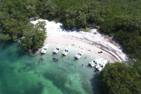 Key West: Eco Safari Sandbar Tour med snorklingKey West: Eco Safari Tour med snorkling