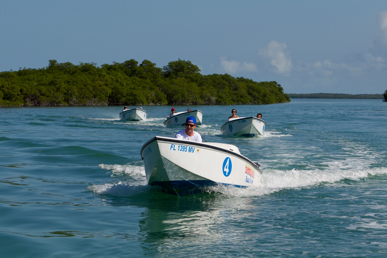 Key West: Tour Eco Safari Sandbar con snorkelingKey West: Eco Safari Tour con Snorkeling