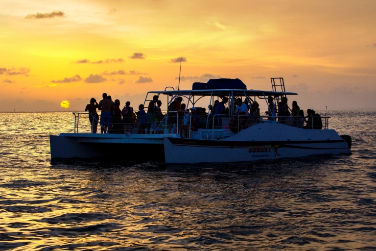 Key West: Delfinbeobachtung und Schnorcheln