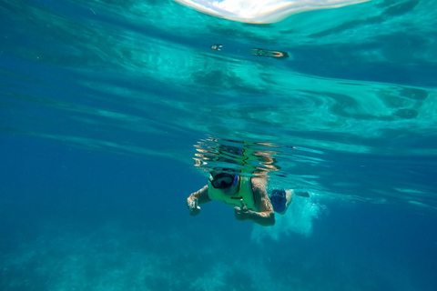 Cayo Hueso: tour en barco combinado con delfines