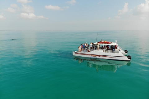 Key West: Dolphin Combo Boat Tour
