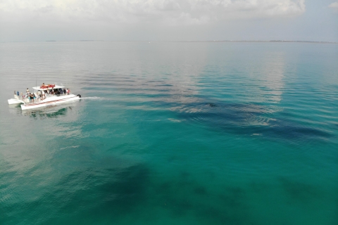 Key West: excursion en bateau combiné avec les dauphins