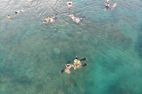 Cayo Hueso: tour en barco combinado con delfines