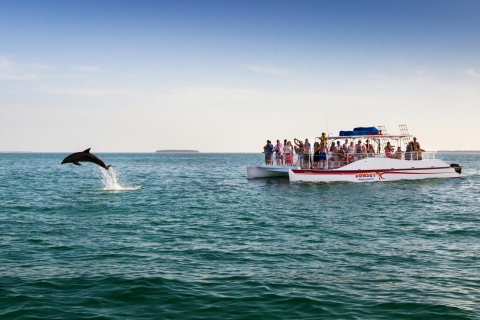 Cayo Hueso: tour en barco combinado con delfines