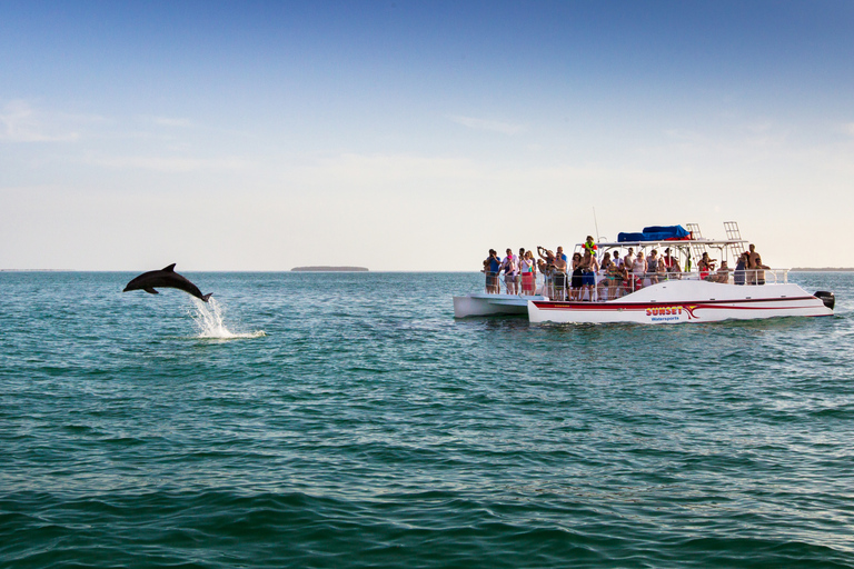 Key West: excursion en bateau combiné avec les dauphins