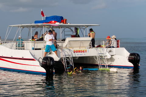 Key West: Passeio de barco com golfinhos e snorkel com opção de pôr do solKey West: Passeio de barco diurno com golfinhos e snorkel