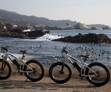 "Familienfreundliche E-Bike Tour entlang des 17 Mile Dr