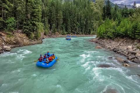 Kicking Horse River: Whitewater Rafting