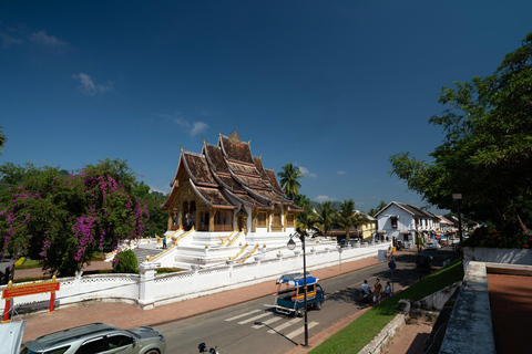 Luang Prabang: Sunrise Market & Local Street Food Experience