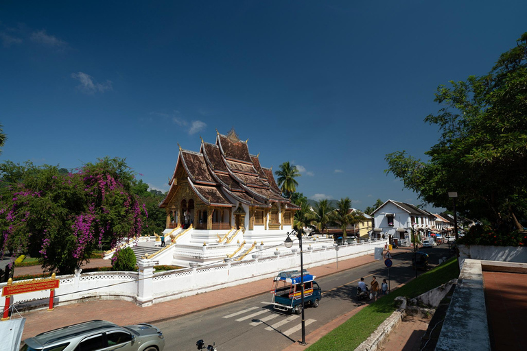 Luang Prabang: Sunrise Market & Local Street Food Experience