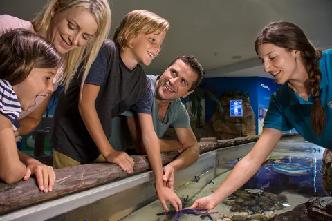 Entrada a SEA LIFE Sunshine Coast
