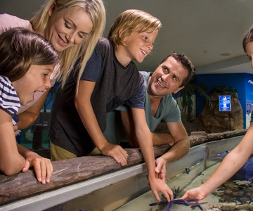 Billet d'entrée pour le parc SEA LIFE Sunshine Coast