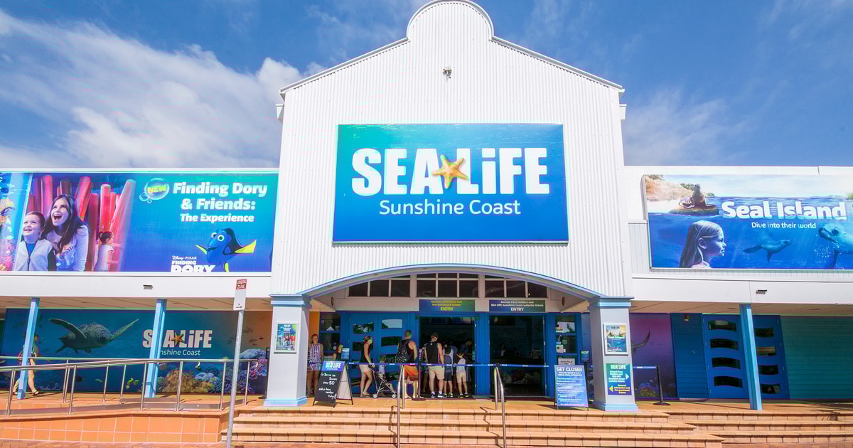 Mooloolaba Underwater World Sea Life Entrance Tickets Mooloolaba, Australia GetYourGuide