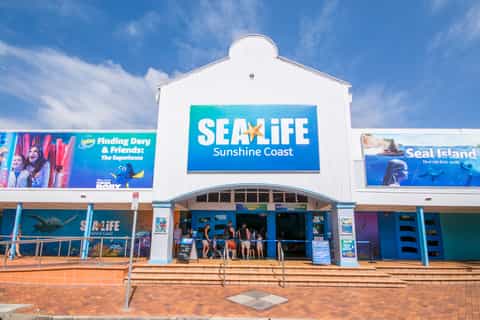 mooloolaba underwater world sea life entrance tickets