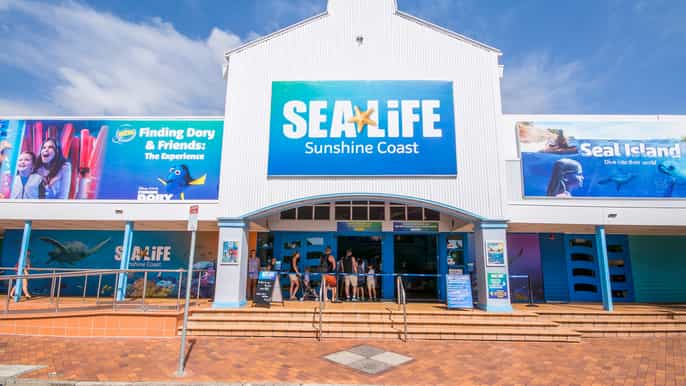 mooloolaba underwater world sea life entrance tickets