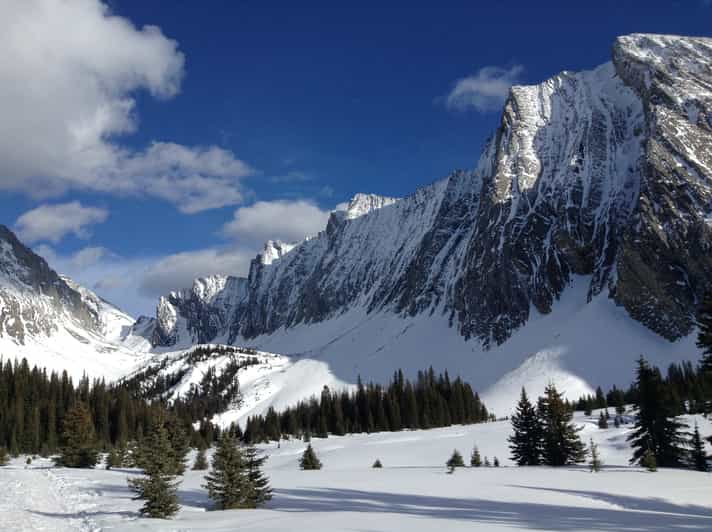 Canmore Kananaskis Country Snowshoe Tour GetYourGuide