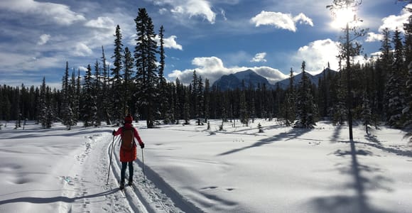 Lake Louise: Cross Country Skiing Lesson with Tour