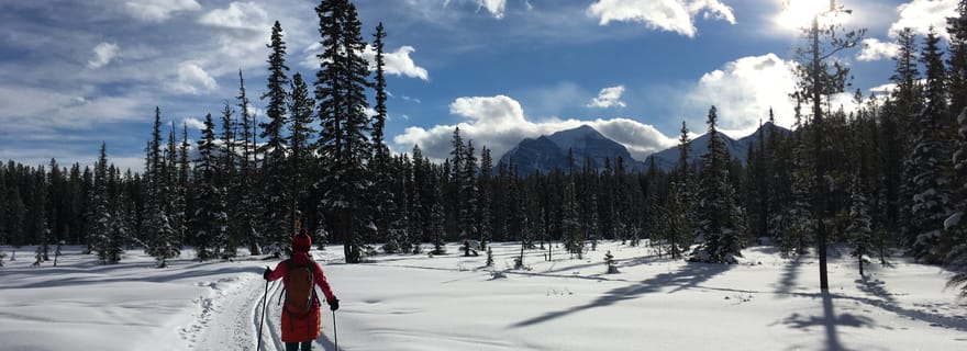 Lake Louise : Leçon de ski de fond avec excursion