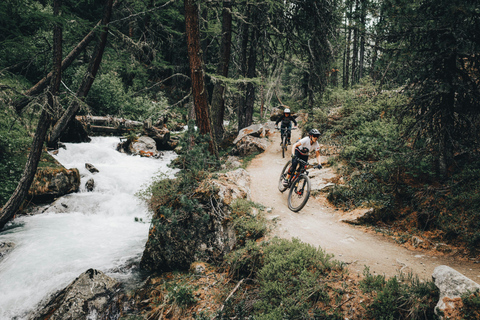 E-bike tour through the UNESCO Old Town and the Harz Mountains
