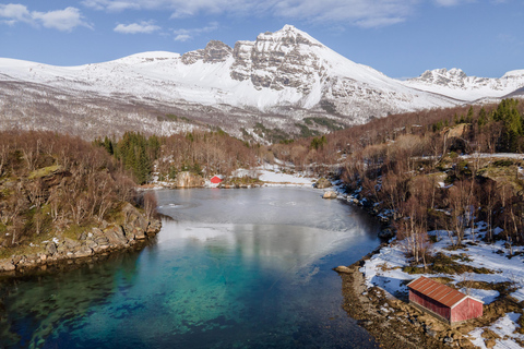 Explora os fiordes noruegueses e a vida selvagem a partir de Abisko.