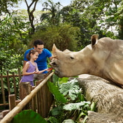 Singapore Zoo: Entrance Ticket with Tram Ride | GetYourGuide