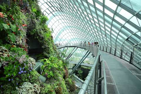 Singapore City: Gardens by the Bay and S.E.A. Aquarium