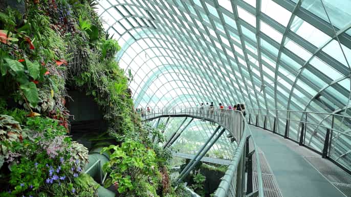 singapore city gardens by the bay and s.e.a. aquarium