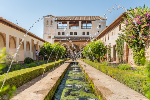 Alhambra: entrada y tour guiado con Palacios NazaríesEntrada y tour privado guiado en alemán