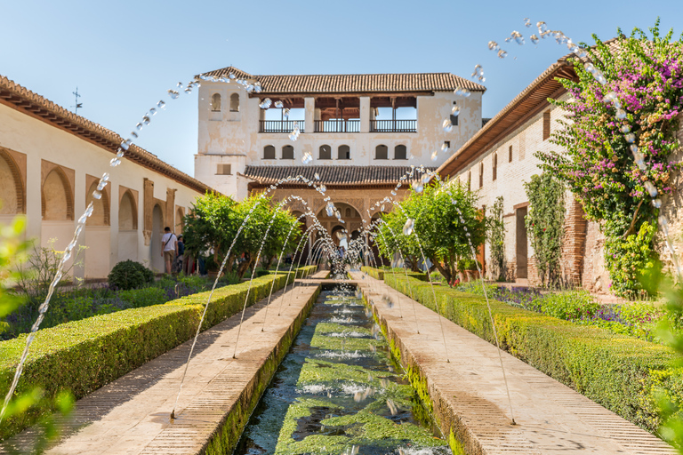 Alhambra: entrada y tour guiado con Palacios NazaríesEntrada y tour privado guiado en alemán