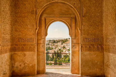 Alhambra: entrada y tour guiado con Palacios NazaríesEntrada y tour privado guiado en alemán