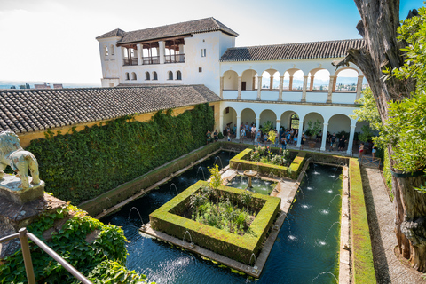 Alhambra: entrada y tour guiado con Palacios NazaríesAlhambra: entrada y tour grupal en español