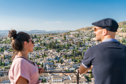 Granada: Alhambra Ticket and Guided Tour with Nasrid Palaces Private Guided Tour and Ticket in German