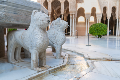 Alhambra: entrada y tour guiado con Palacios NazaríesEntrada y tour privado guiado en alemán