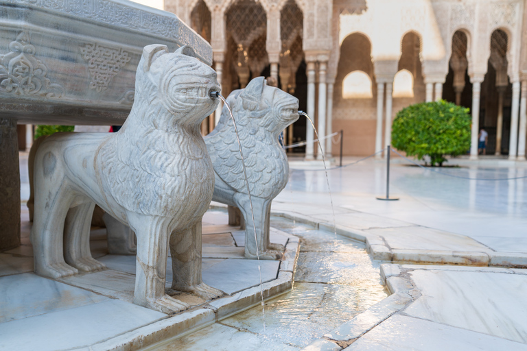 Alhambra: entrada y tour guiado con Palacios NazaríesAlhambra: entrada y tour grupal en español