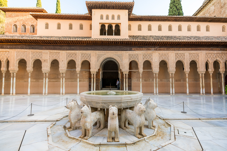 Alhambra: entrada y tour guiado con Palacios NazaríesAlhambra: entrada y tour grupal en español