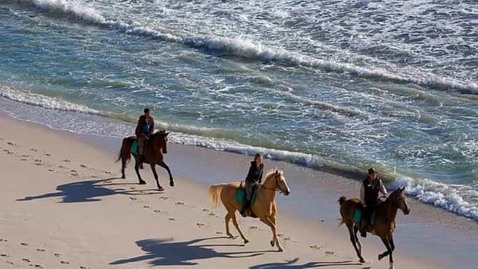 puerto plata 2hour horseback ride on the beach