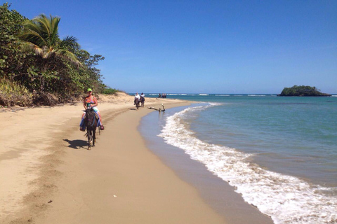 Puerto Plata: Ausritt am Strand