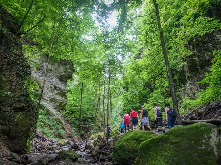 Danube Bend Full Day Hiking Tour From Budapest GetYourGuide