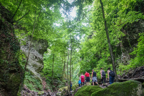 Curva do Danúbio: excursão de caminhada de dia inteiro saindo de Budapeste