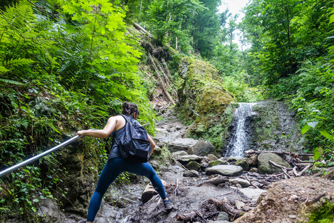 Ansa del Danubio: tour con trekking di 1 giorno da Budapest