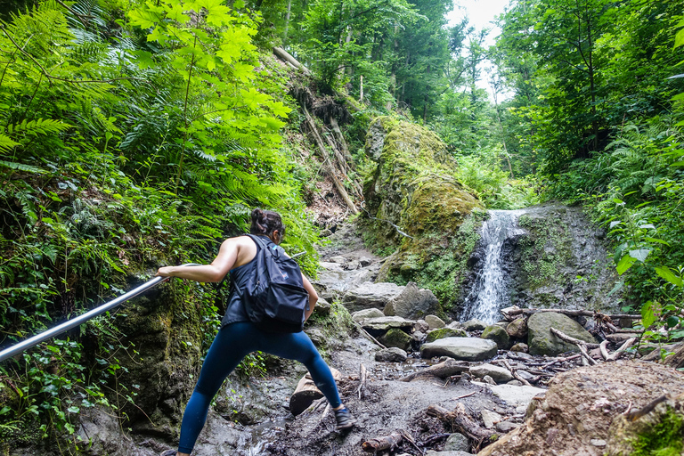 Curva do Danúbio: excursão de caminhada de dia inteiro saindo de Budapeste