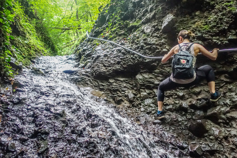 Ansa del Danubio: tour con trekking di 1 giorno da Budapest