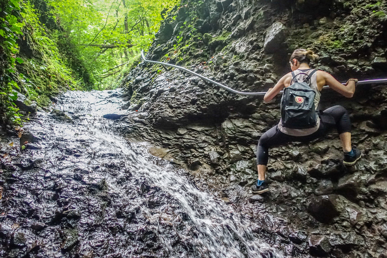 Danube Bend: Full-Day Hiking Tour vanuit Boedapest