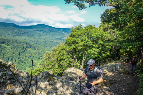 Ansa del Danubio: tour con trekking di 1 giorno da Budapest